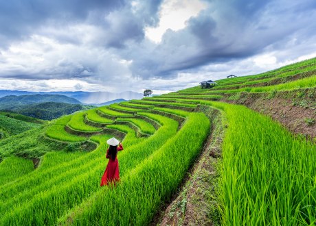 Tour Vietnam Terra del Sorriso viaggio di gruppo organizzato con guida in italiano